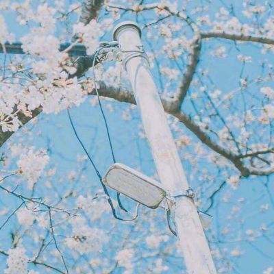地心纪元游戏下载